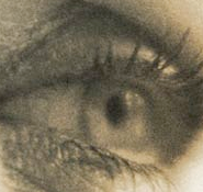 A human eye — the gift of sight through donation